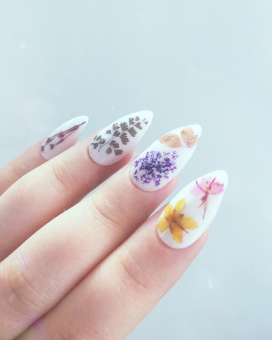 ByFashion.ru - Сухоцветы для дизайна ногтей, 12 шт.